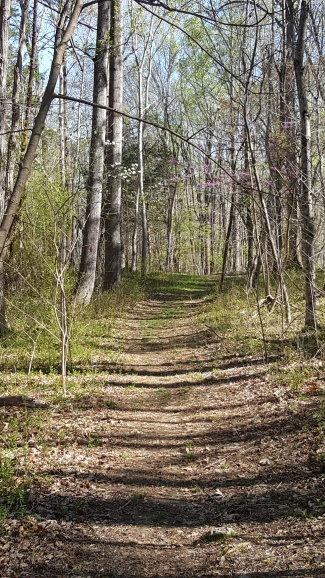 smith trail